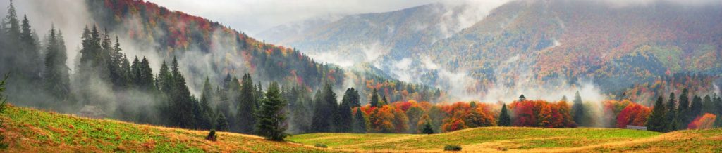 A scenic mountain valley with the trees in beautiful orange and red hues. Read our Fall Self-Care Checklist for Mental Wellness and Recovery.   