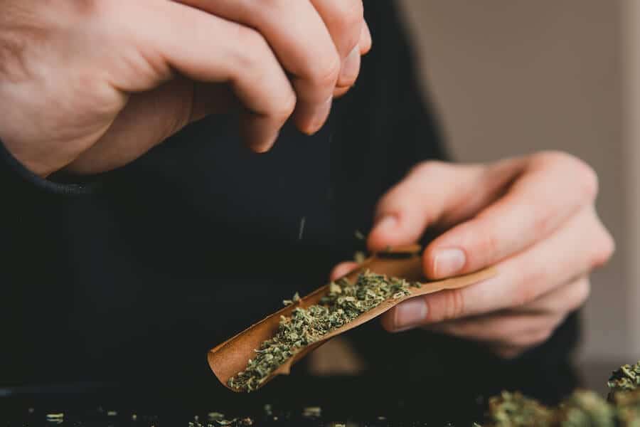 Is Marijuana A Gateway Drug?