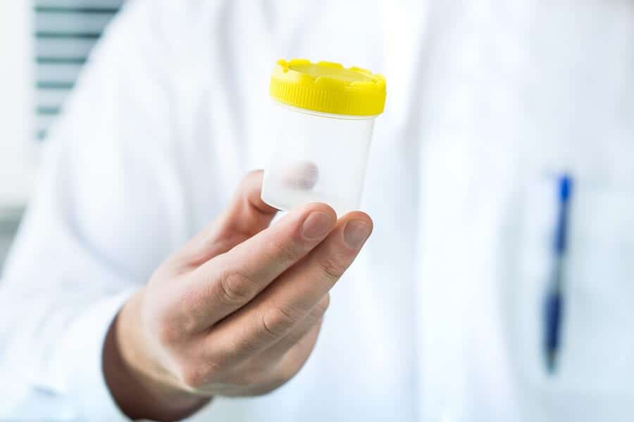Does Kratom Show Up on a Drug Test? | Harmony Recovery Center Does Kratom Show Up on a Drug Test? | Harmony Recovery Center